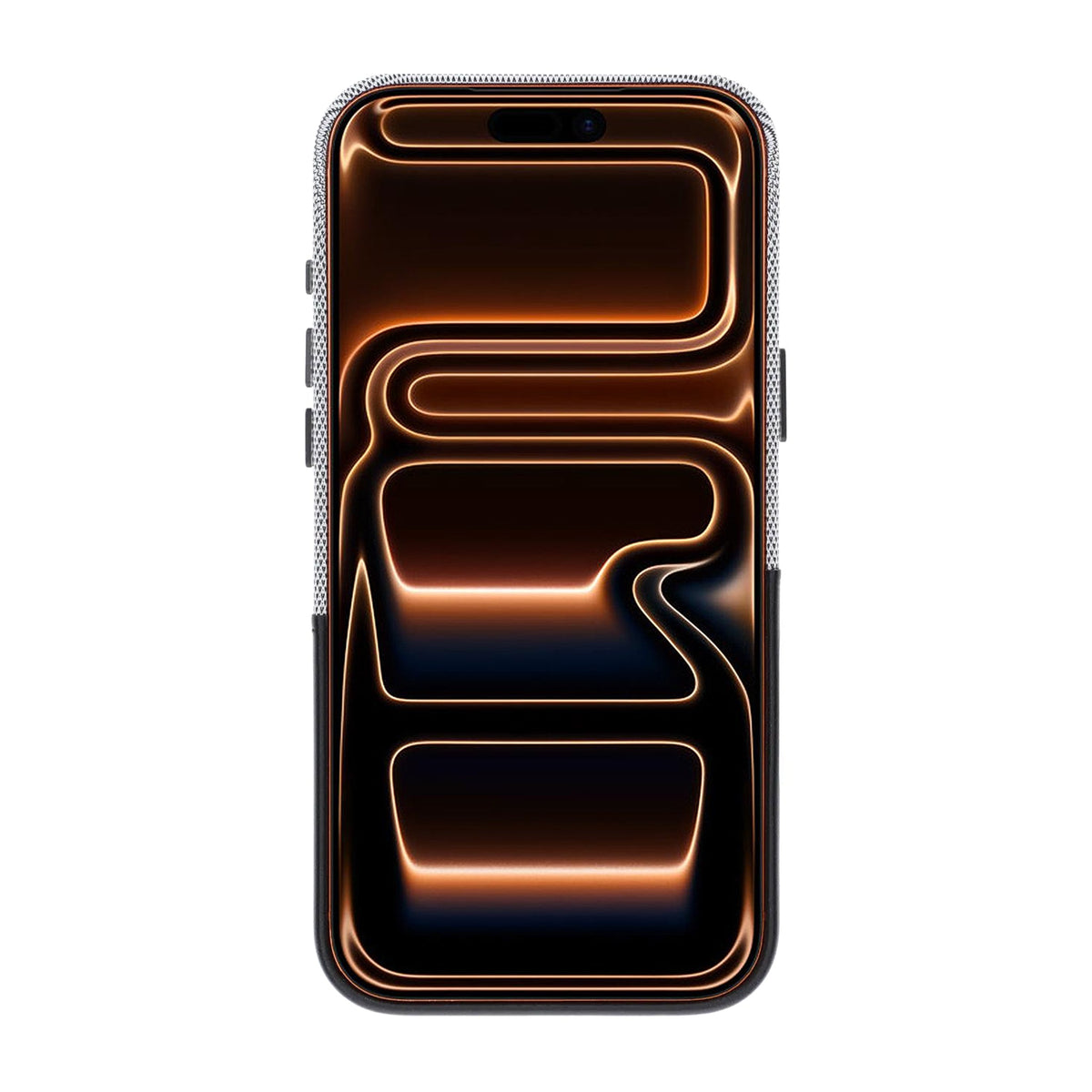 iPhone 17 Pro Max/iPhone 18 Pro Max Deksel i skinn Kortholder MagSafe Svart