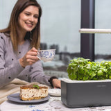 Click and Grow Smart Garden 3 Start pakke Mørk Grå
