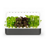 Click and Grow Smart Garden 9 Startsett - Mørk Grå