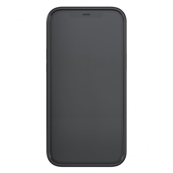 Richmond & Finch iPhone 12 Pro Max Deksel Black Marble