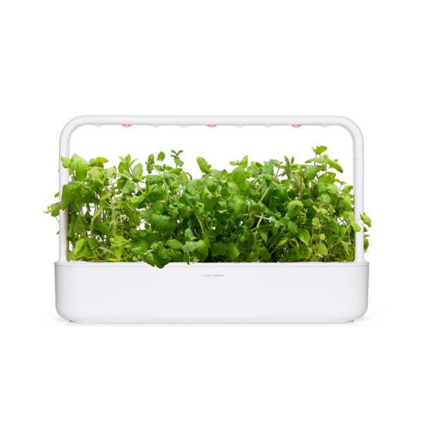 Click and Grow Smart Garden Refill 3-pakning - Rundmynte