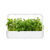 Click and Grow Smart Garden Refill 3-pakning - Rundmynte