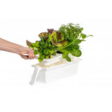 Click and Grow 25 - Svart (Salatgrønt 54x pakke)