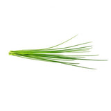 Click and Grow Smart Garden påfyllning 3-pack - Gressløk