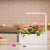 Click and Grow Smart Garden 3 Startpakke - Mellow Beige