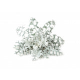 Click and Grow Smart Garden Refill 3-pack - Sølvrekke