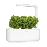 Click and Grow Smart Garden Refill 3-pakke - Finbladet Basilikum
