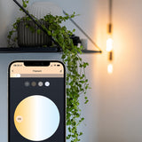 Lite bulb moments White Ambience E27 Filamentlampe - 3-Pack