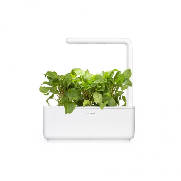 Click and Grow Smart Garden Refill 3-pack - Grønn sorrel