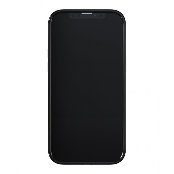 Richmond & Finch iPhone 13 Pro Max Deksel Black Marble