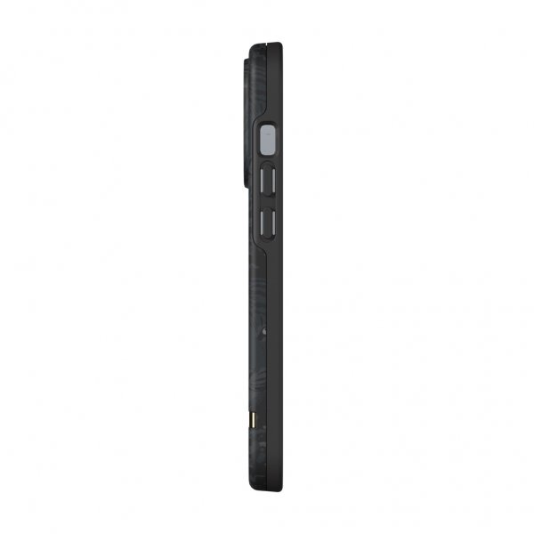Richmond & Finch iPhone 13 Pro Deksel Black Tiger