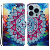 iPhone 15 Pro Etui Motiv Mandala