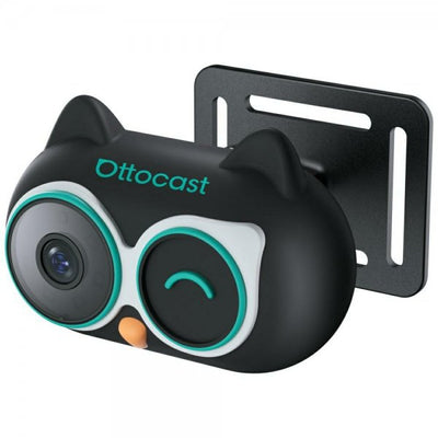 Svart
