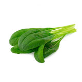 Click and Grow Smart Garden Refill 3-pakke - Mibuna