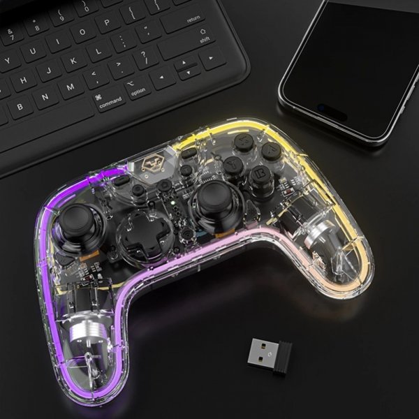 Aolion Nintendo Switch Spillkontroll Klar RGB