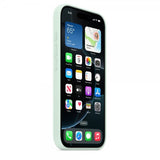 Apple Original iPhone 16 Pro Deksel Silikon Deksel MagSafe Aquamarine