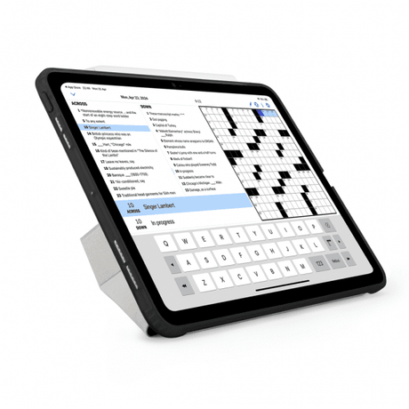Pipetto iPad Pro 11 (M4/M5) Etui Origami No1 Original Case Svart