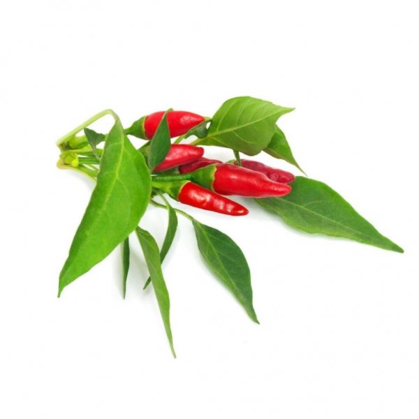 Click and Grow Smart Garden Refill 3-pakning - Piri Piri