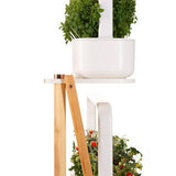 Click and Grow Smart Garden Plant Stand skal oversettes til norsk