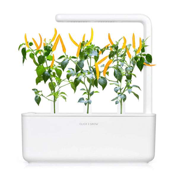 Click and Grow Smart Garden Refill 3-pack - Gult Chili Pepper