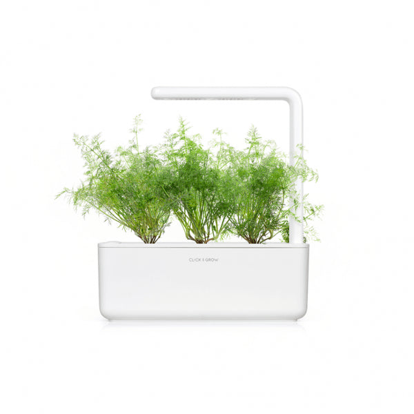 Click and Grow Smart Garden Refill 3-pakke - Dill