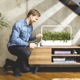 Click and Grow Smart Garden 9 Pro Start Kit Hvit