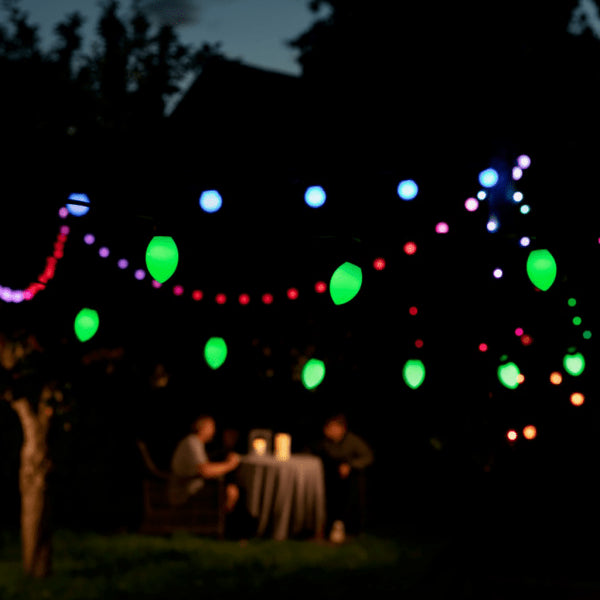 Lite bulb moments Smart String Lights - Oval Globe