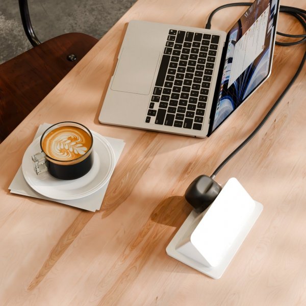 Twelve South PowerCord USB-C Lader 1,2 meter Slate