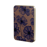 Powerbank MagSafe 5000 mAh Velvet Night Gull