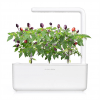 Smart Garden Refill 3-pakke - Lilla Chilipepper