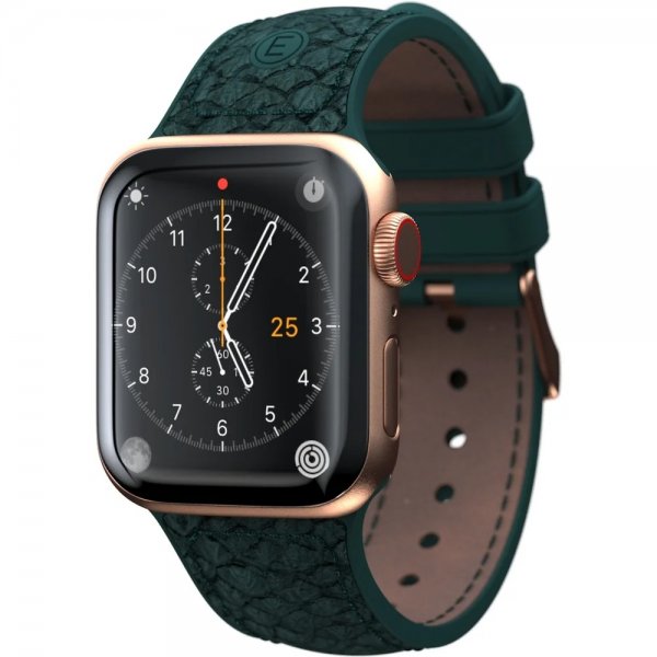 Apple Watch 38/40/41mm Armbånd Salmon Series Grønn